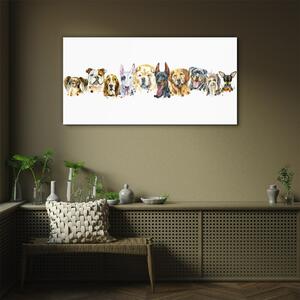 Obraz na skle Obraz na skle Moderní zvířata psi