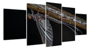 Obraz - hmyz (150x70cm)