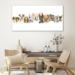 Obraz na skle Obraz na skle Moderní zvířata psi