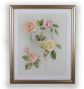 Obraz Roisin pale sage 115773, Laura Ashley, Graham Brown