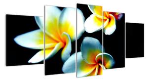 Obraz květiny (150x70cm)