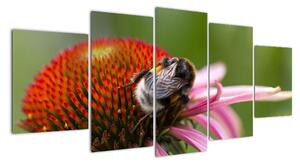 Obraz včely na květu (150x70cm)