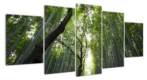 Obraz lesů (150x70cm)