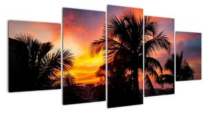 Obraz palmy na zeď (150x70cm)