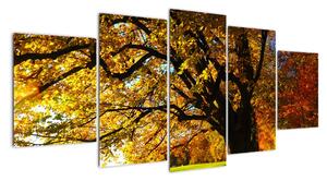 Obraz podzimní krajiny (150x70cm)