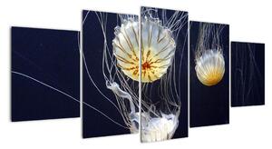Obraz - medúzy (150x70cm)