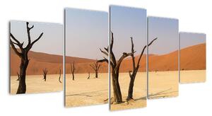 Obraz pouště (150x70cm)