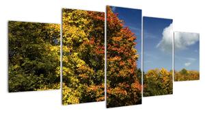 Podzimní krajina, obraz (150x70cm)
