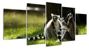 Obraz lemurů (150x70cm)
