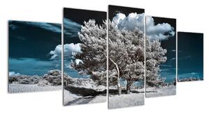 Strom v zimě, obraz na zeď (150x70cm)