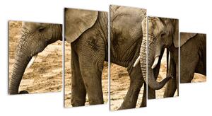 Slon, obraz (150x70cm)