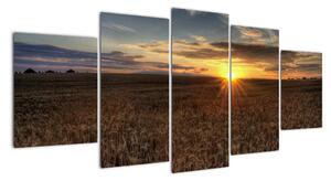 Západ slunce na poli - obraz na stěnu (150x70cm)