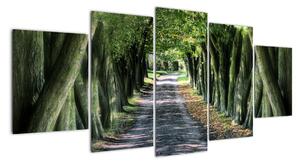 Údolí stromů, obrazy (150x70cm)