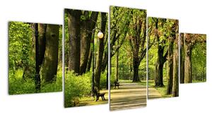 Cesta v parku - obraz (150x70cm)