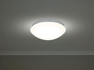 LIVARNO home Stropní LED svítidlo s pohybovým senzorem (100360294)