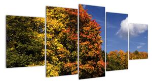 Podzimní stromy - obraz do bytu (150x70cm)