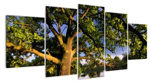 Obraz stromu (150x70cm)