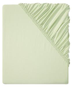 LIVARNO home Žerzejové napínací prostěradlo, 140-160 x 200 cm (zelená) (100361118003)