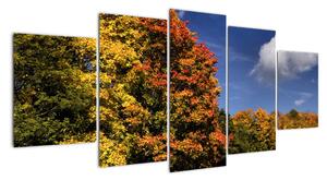 Podzimní stromy - moderní obraz (150x70cm)