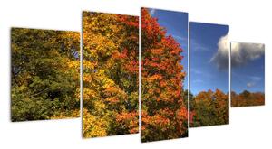 Podzimní stromy - obraz (150x70cm)