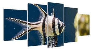 Ryba - obraz (150x70cm)