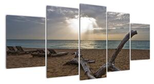 Pláž - obraz (150x70cm)