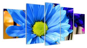 Modrá chryzantéma - obrazy (150x70cm)