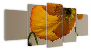 Žlutá květina - obraz (150x70cm)