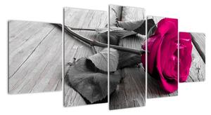 Růže fialová - obraz (150x70cm)