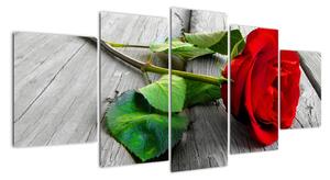Růže červená - obraz (150x70cm)