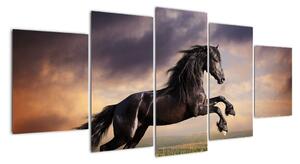 Kůň - obraz (150x70cm)
