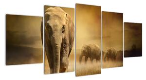 Obraz slona (150x70cm)