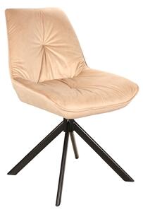 Jídelní židle RORY Velvet, 53x89x45, bluvel 28