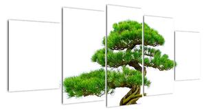 Bonsai - moderní obraz (150x70cm)