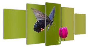 Motýl - obraz (150x70cm)