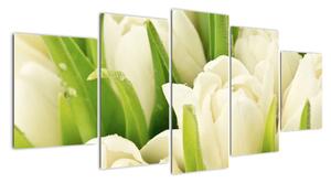 Detail tulipánů - obraz (150x70cm)
