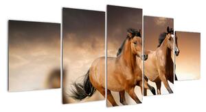 Koně - obraz (150x70cm)