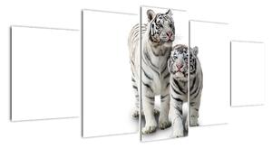 Tygr bílý - obraz (150x70cm)