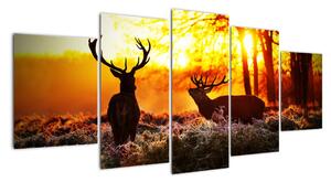Fotka jelenů - obraz (150x70cm)