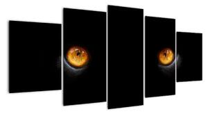 Zvířecí oči - obraz (150x70cm)