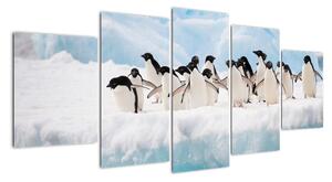 Tučňáci - obraz (150x70cm)