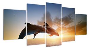 Delfíni - obraz (150x70cm)
