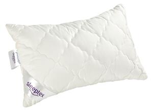 POLŠTÁŘ POD HLAVU, 40/60 cm Sleeptex - Polštáře pod hlavu