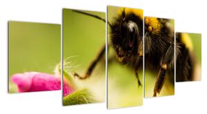 Včela - obraz (150x70cm)