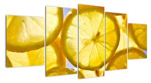 Plátky citrónů - obraz (150x70cm)