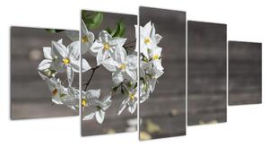 Obrazy květiny (150x70cm)