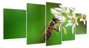 Fotka včely - obraz (150x70cm)