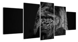 Obraz opice (150x70cm)