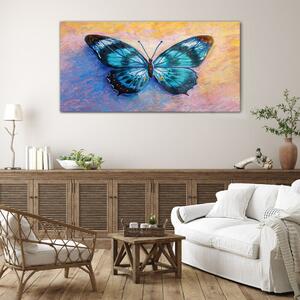 Obraz na skle Obraz na skle Butterfly hmyz barevný