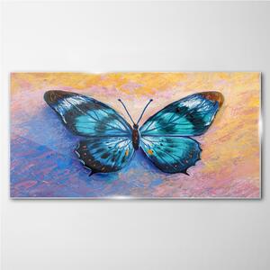 Obraz na skle Obraz na skle Butterfly hmyz barevný